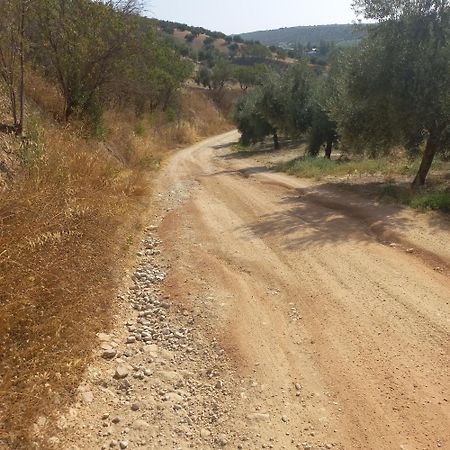 Alojamiento Rural El Yate Βίλα Montefrio Εξωτερικό φωτογραφία