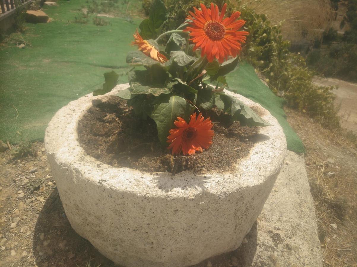 Alojamiento Rural El Yate Βίλα Montefrio Εξωτερικό φωτογραφία